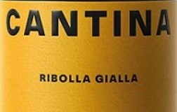 Puiatti Venezia Giulia Ribolla Gialla 2020