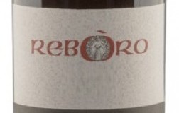 Giovanni Poli Reboro 2013