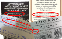 esempi retroetichette vini