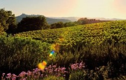 Roccafiore Todi Umbria