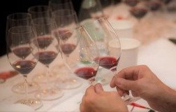 Rosso di Montalcino