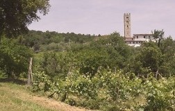 manuel pulcini san macario Toscana
