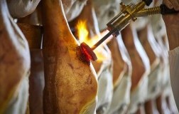 Prosciutto San Daniele DOP