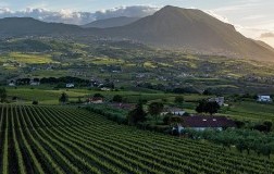 Sannio Panorama Taburno