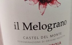 Santa Lucia Castel Del Monte Nero di Troia Il Melograno 2019