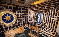 Sassicaia (1), la stella del vino Italiano