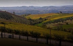 Sciarr D'Alesio vini Umbria panorama