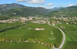Secondo Marco Valpolicella