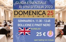 Seminario BOLLICINE E PINOT NERO, Domenica 25 a Milano