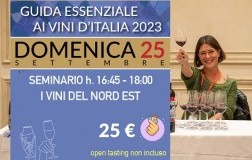 Seminario I VINI DEL NORD EST, Domenica 25 a Milano