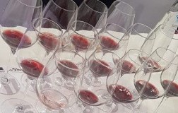 Seminario DoctorWine Vinoforum 2019