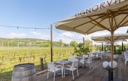 Signorvino Valpolicella