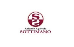 Sottimano Cantina Vini Piemonte Logo