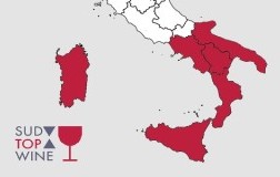 Sud Top Wine 2023 