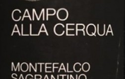 tabarrini campo alla cerqua montefalco sagrantino etichetta doctorwine