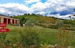 Tenuta Casteani maremma toscana