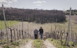 Tenuta Oderisio