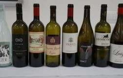 teroldego Incontri Rotaliani 2019