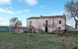 terreni incolti