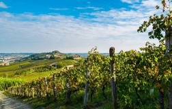 territorio Nizza Monferrato