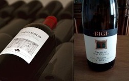 Vigneto Torricella Bigi e Torgiano Rosso Rubesco 2018 Lungarotti