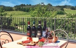 Tuscan Winery La Ciarliana