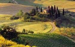Val d'Orcia Panorama