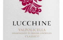Valpolicella Classico Lucchine 2019 Tedeschi