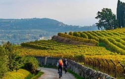 valpolicella veneto