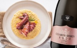 Vellutata di ceci e polpo arrosto con Trentodoc 1673 Rosé 2015 Cesarini Sforza