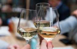 Vermentino brindisi