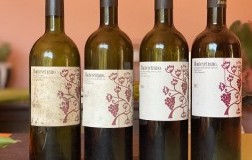 Verticale Montevetrano