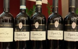 Verticale Domini Veneti Amarone della Valpolicella Classico Vigneti di Jago