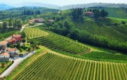 vigneti tunella