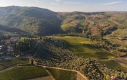 Vigneti greve in Chianti