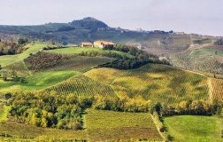 Vigneti Oltrepò Pavese