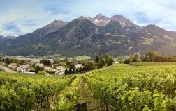 Vigneti rosset Terroir Valle d'Aosta