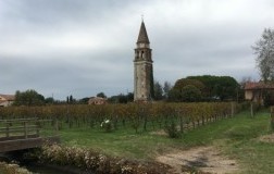 vigneto chiuso Venissa