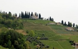 Vigneto San Floriano Valdobbiadene