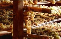 vin santo uve sui graticci