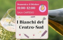 vini-bianchi-del-centro-sud-doctorwine