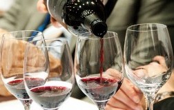 Focus sul settore vitivinicolo del sud Italia