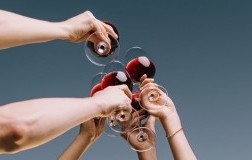 vini deliziosi doctorwine