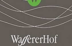 wassererhof pinot bianco alto adige doc etichetta doctorwine
