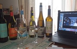 Web Tasting Maremma Toscana Vermentino Stefania Vinciguerra