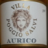 Aurico-2009.jpg