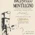 Brunello-di-Montalcino-2011.jpg