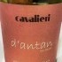 cavalieri verdicchio di matelica d'antan 2015 vino bianco marche etichetta doctorwine