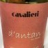 cavalieri verdicchio di matelica d'antan vino bianco marche etichetta doctorwine