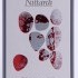 Nittardi Chianti Classico Belcanto 2021